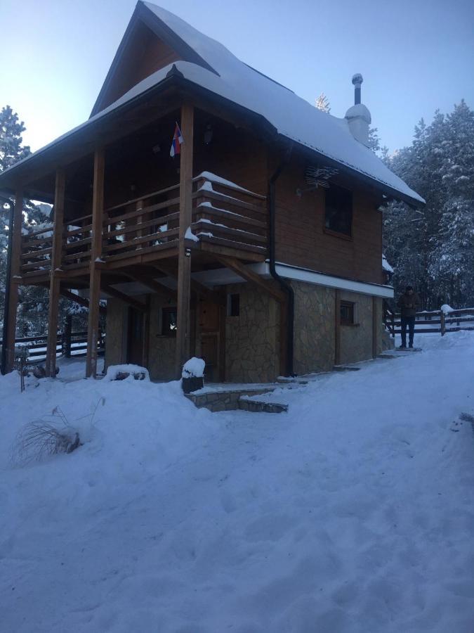 Apartmani Tornik-Planinska Kuca Zdravkovic Dobroselica Exterior foto