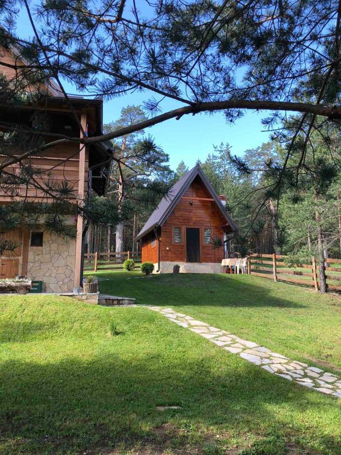 Apartmani Tornik-Planinska Kuca Zdravkovic Dobroselica Exterior foto