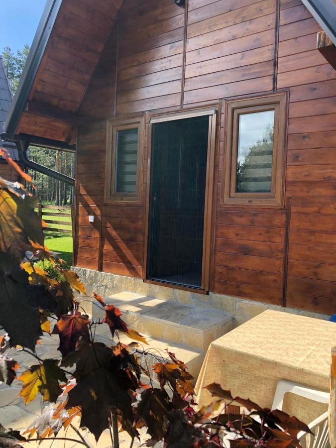 Apartmani Tornik-Planinska Kuca Zdravkovic Dobroselica Exterior foto